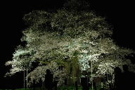 a0157619_23164055.jpg