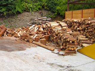 e0002820_1753619.jpg
