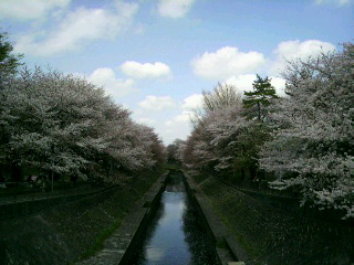 f0106823_11565626.jpg