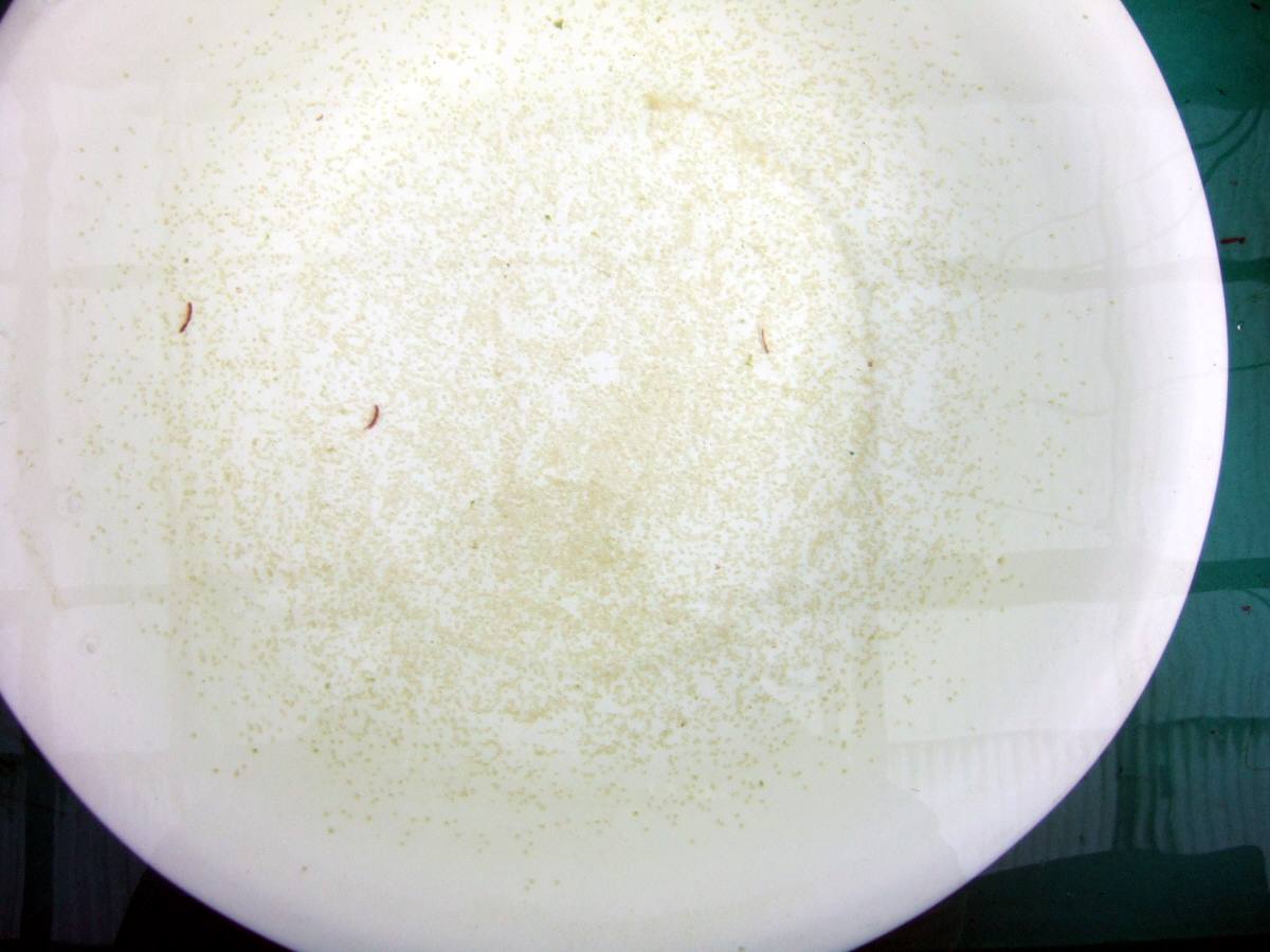 c0020725_20211887.jpg