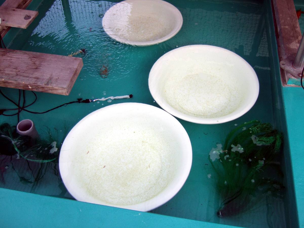 c0020725_2021560.jpg