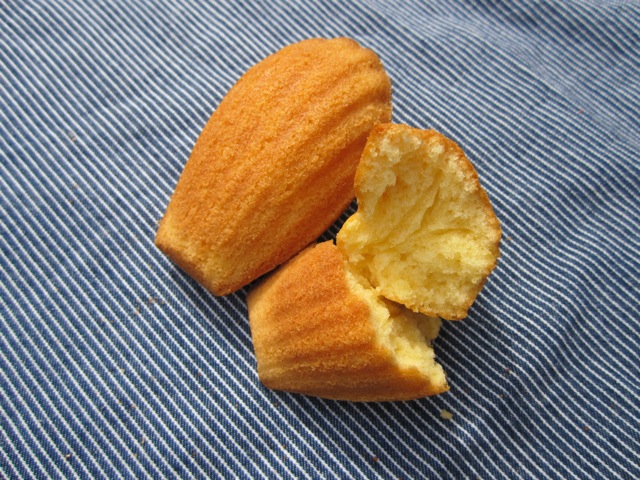 a0054228_18592310.jpg