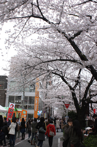 f0078132_23244590.jpg