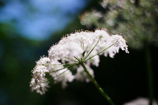 f0236733_014616.jpg