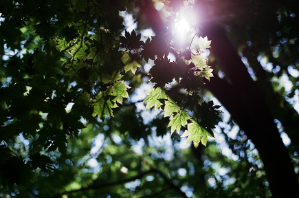 f0236733_015416.jpg