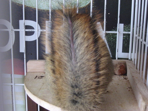 b0138734_1046590.jpg