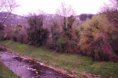d0092439_21342582.jpg