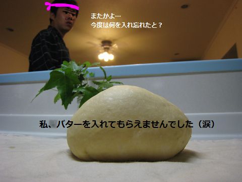 a0090451_2244431.jpg