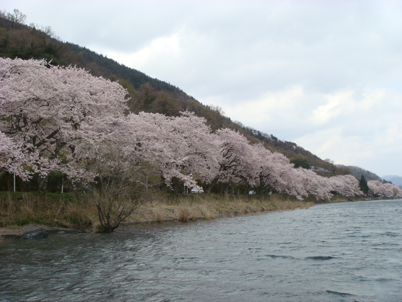 b0183452_21131023.jpg