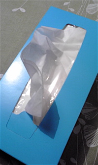 c0003752_22173926.jpg