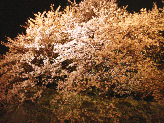 f0178153_1802512.jpg