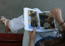 f0198253_21484144.gif