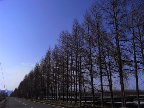 a0004359_343257.jpg