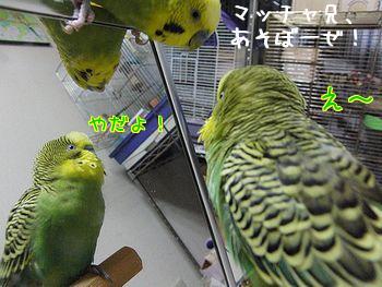 f0196665_0392089.jpg