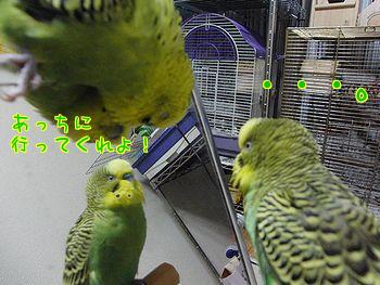 f0196665_039210.jpg