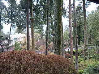 e0048867_843116.jpg