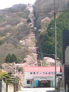 f0061067_20502774.jpg