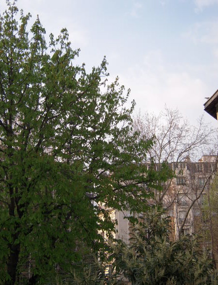 b0169771_150537.jpg