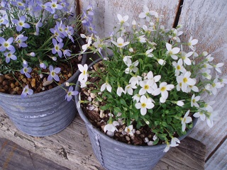 c0214272_231610100.jpg