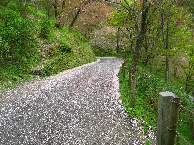e0106372_1129799.jpg