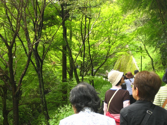e0106372_11404296.jpg