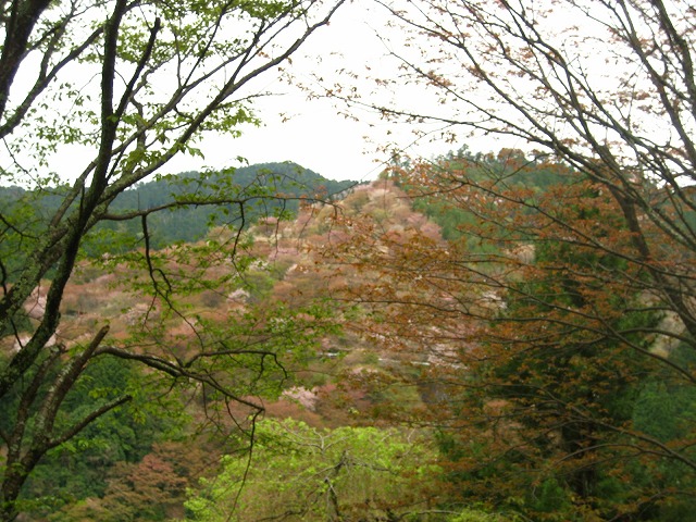 e0106372_11412926.jpg