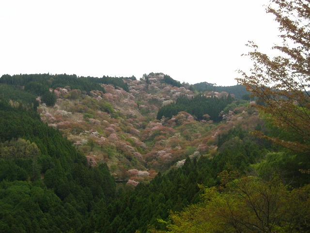 e0106372_114143.jpg
