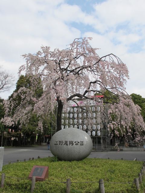e0132881_19565912.jpg