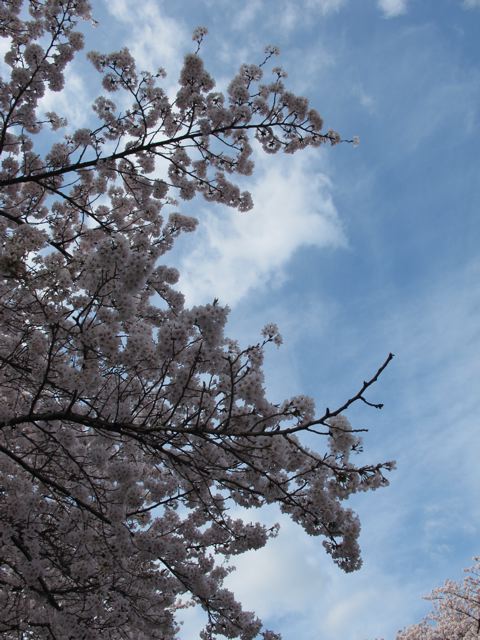 e0132881_19573790.jpg