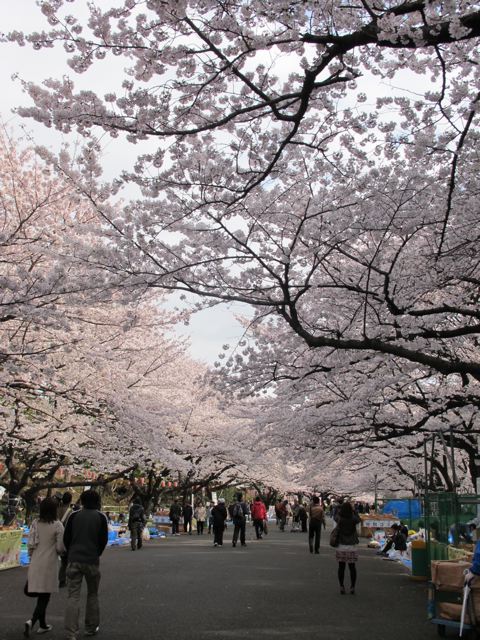 e0132881_200315.jpg
