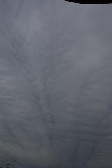 c0182782_18264514.jpg