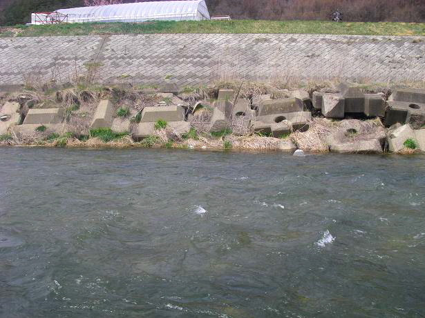 c0136486_14534189.jpg