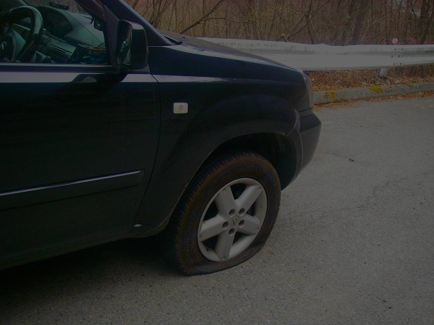 c0136486_1774754.jpg