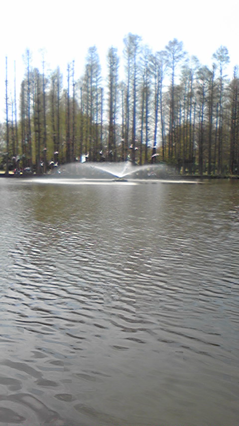 f0191888_21211292.jpg