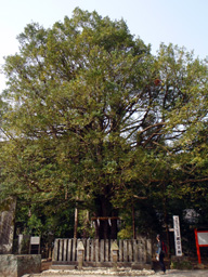 c0018489_23295072.jpg