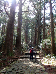 c0018489_2353799.jpg