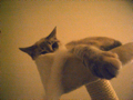 c0207189_235534.jpg