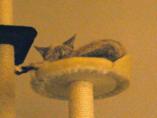 c0207189_2382052.jpg