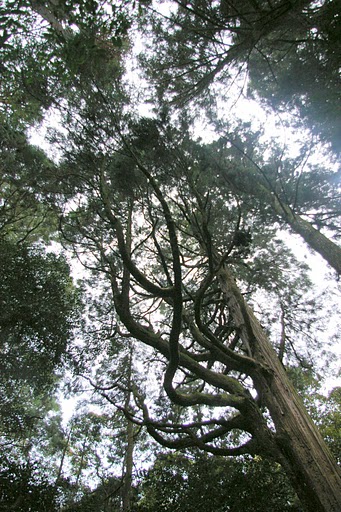 f0237689_074668.jpg