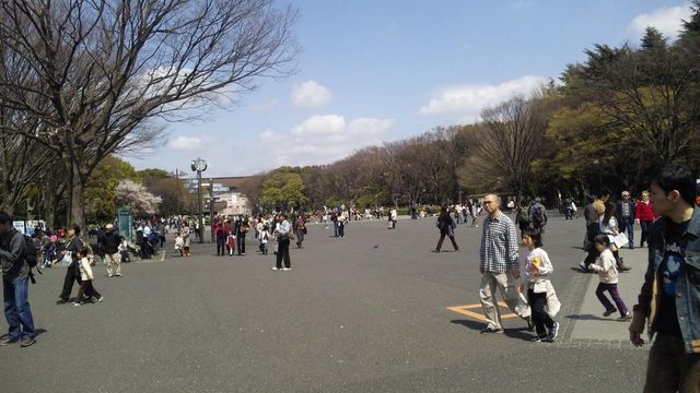 b0039090_2382378.jpg