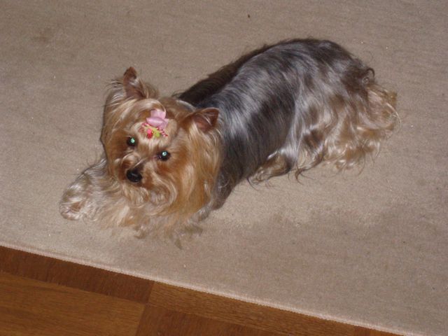 f0130894_21512027.jpg