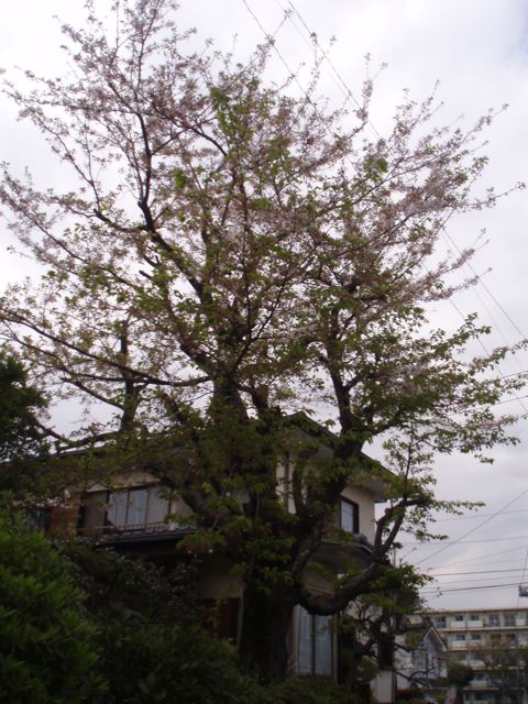 f0130894_227087.jpg