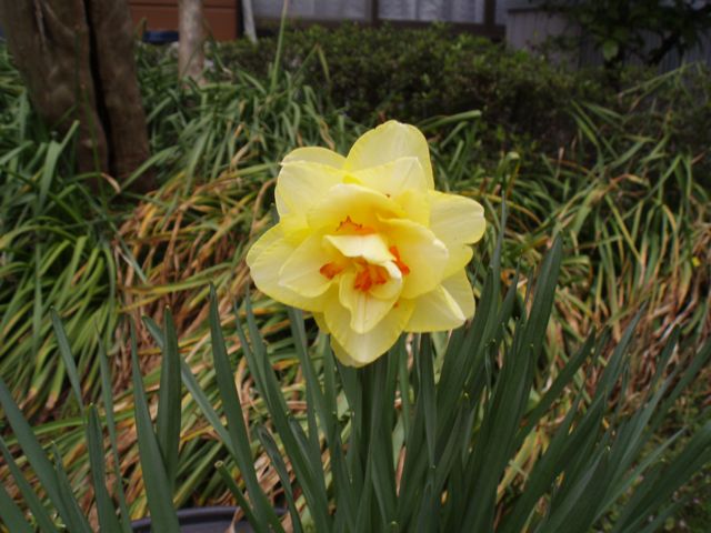 f0130894_2274781.jpg