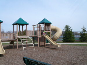 f0199394_3373176.jpg