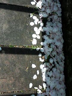f0223097_231501.jpg