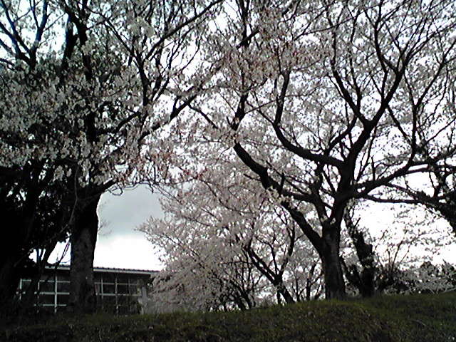 f0079202_2013321.jpg