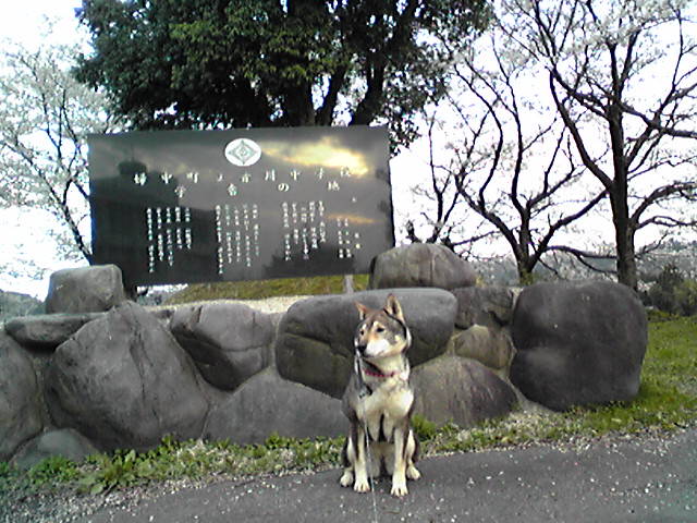 f0079202_2013330.jpg