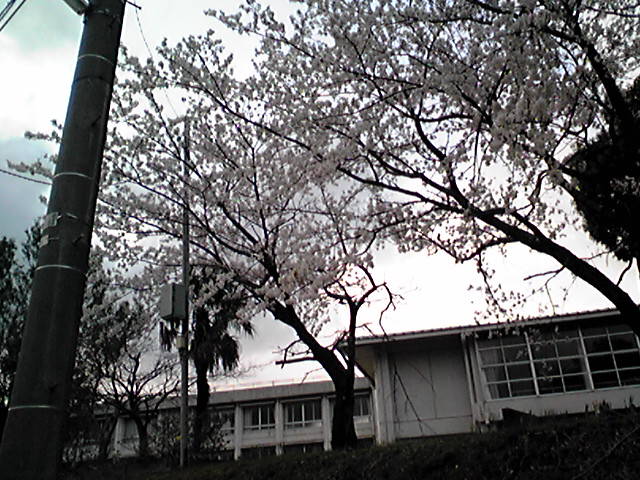 f0079202_2013350.jpg