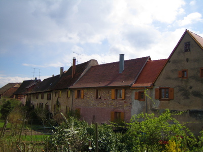 d0135907_10232296.jpg