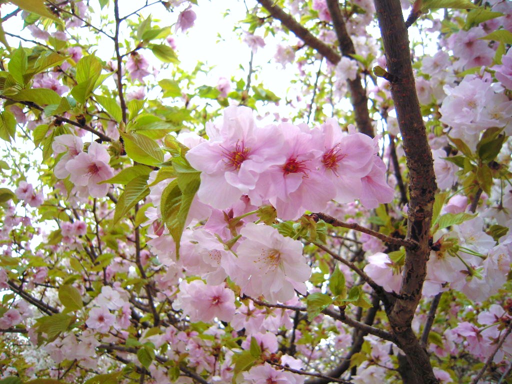 c0132608_17442182.jpg